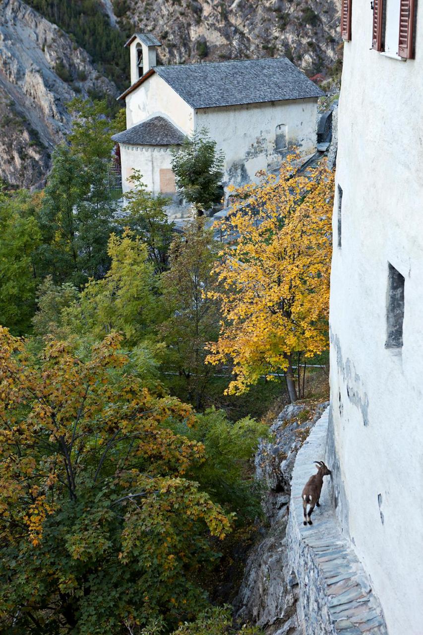 QC Hotel Bagni Vecchi photo 3