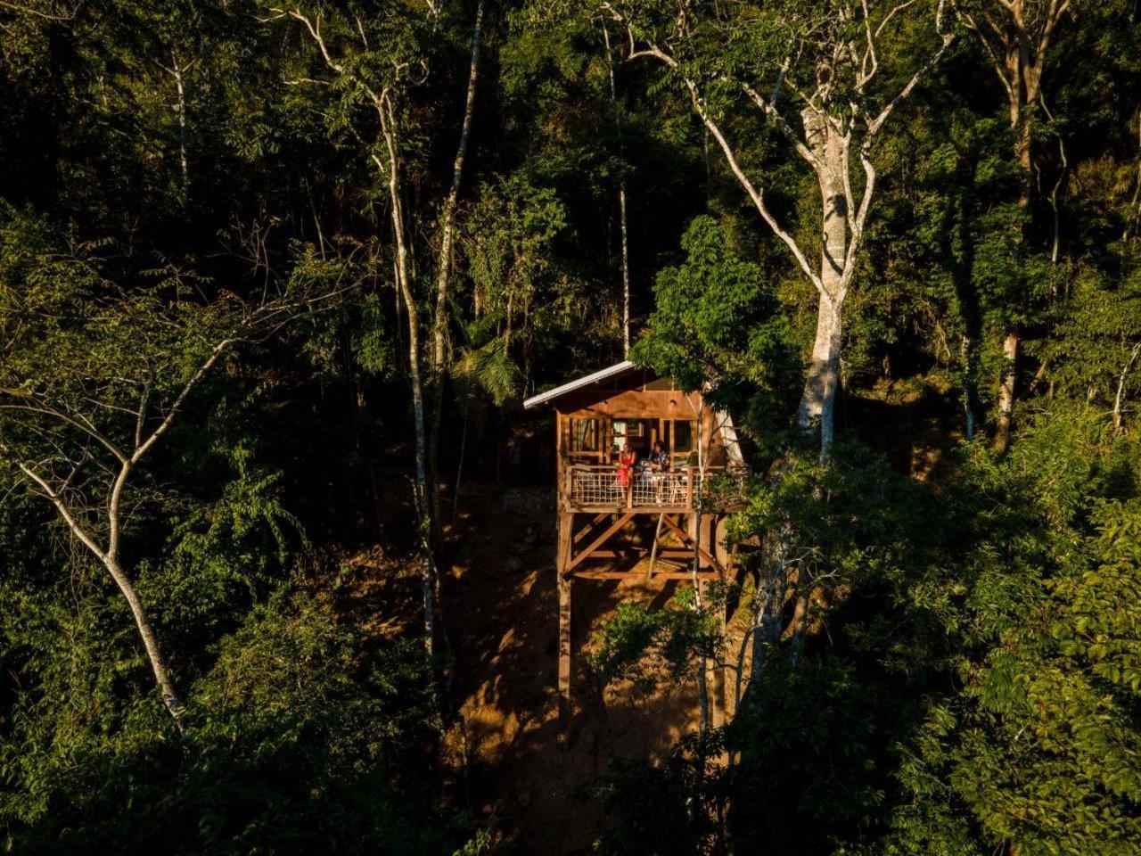 Pumarinri Amazon Lodge photo 4