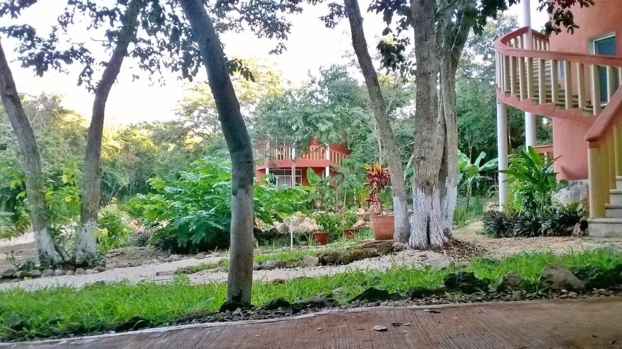 Eco-Hotel Nueva Altia photo 2
