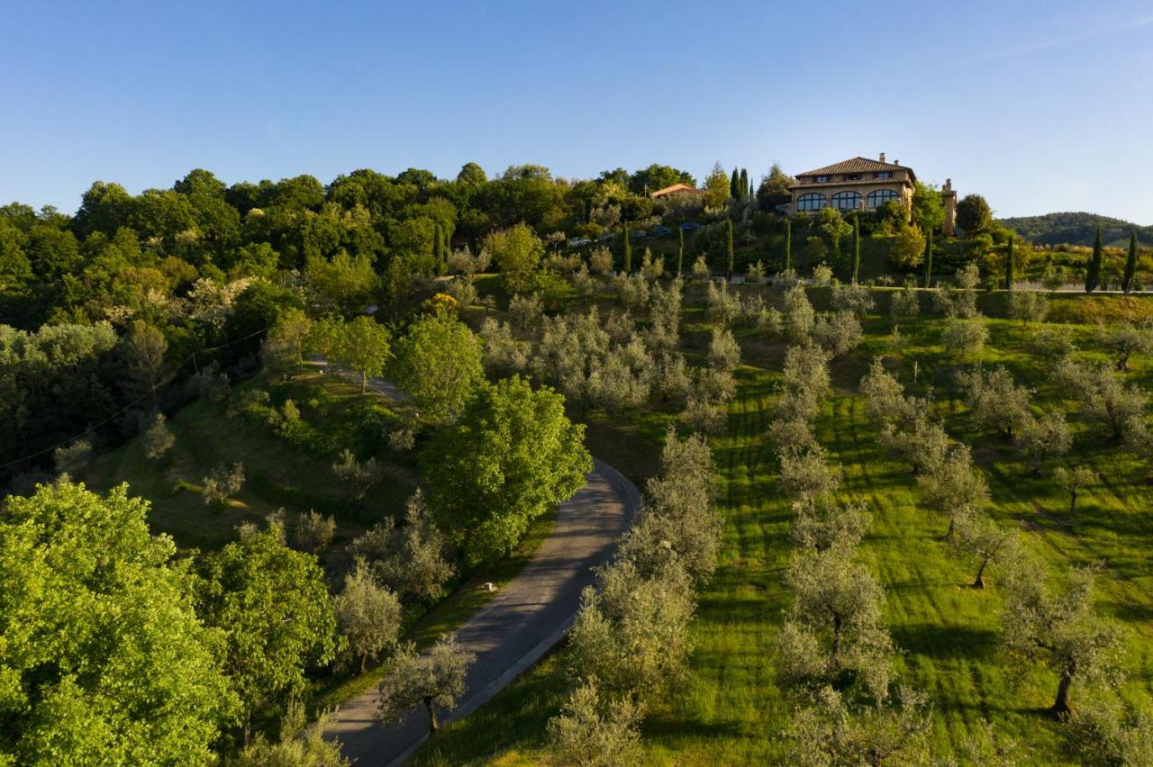 Il Poggio degli Olivi photo 4