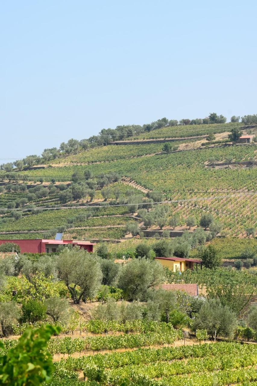 Quinta dos Padrinhos - Suites in the Heart of the Douro - 4