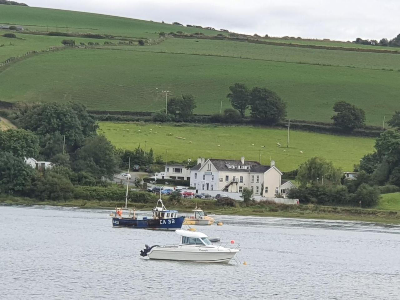 The Teifi Waterside Hotel photo 2