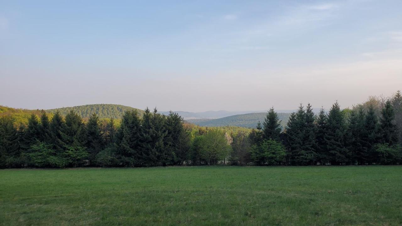 Landgasthof Steuber - Hotel garni photo 2