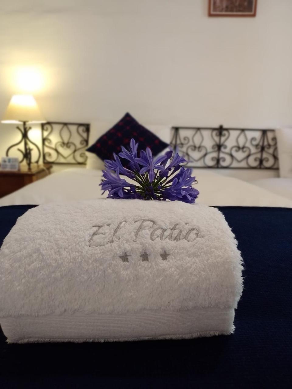 Hotel el Patio de Monterrey photo 3