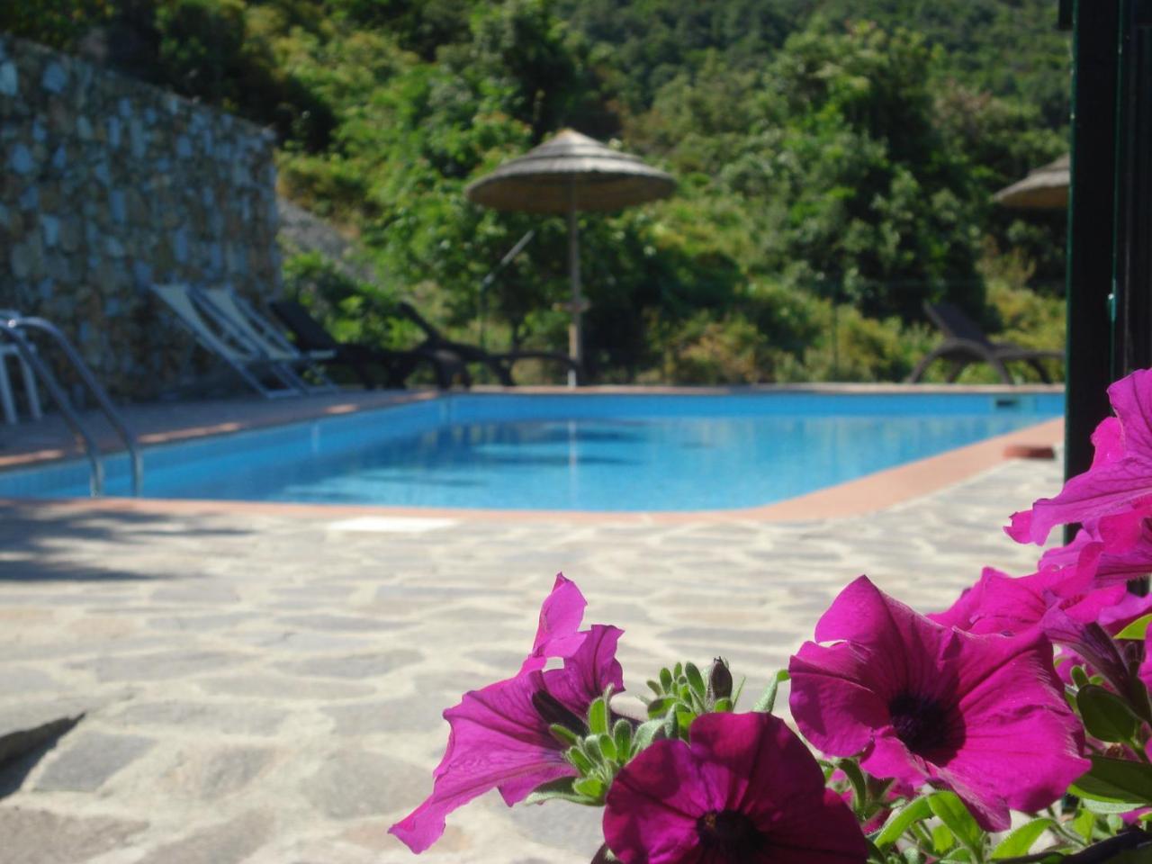 Hotel Villa Rita photo 4