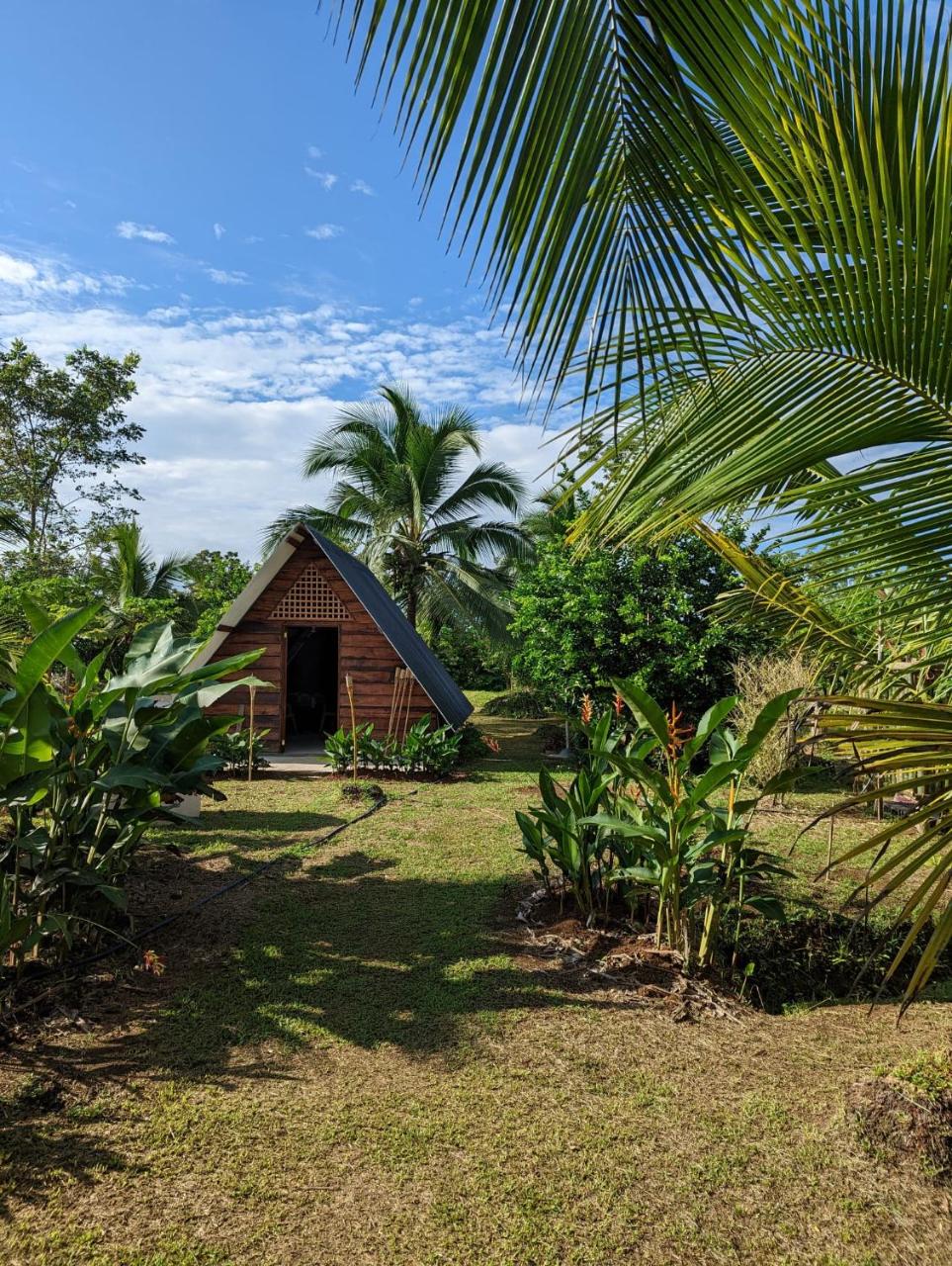 Bewak CR photo 4