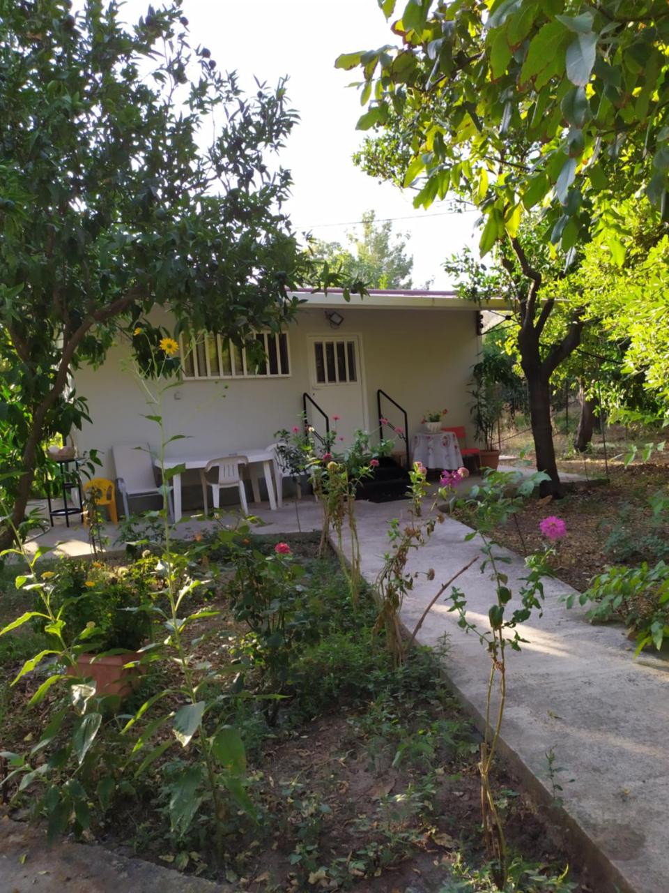 The Green Garden in AGIA VASSA SMALL - 4