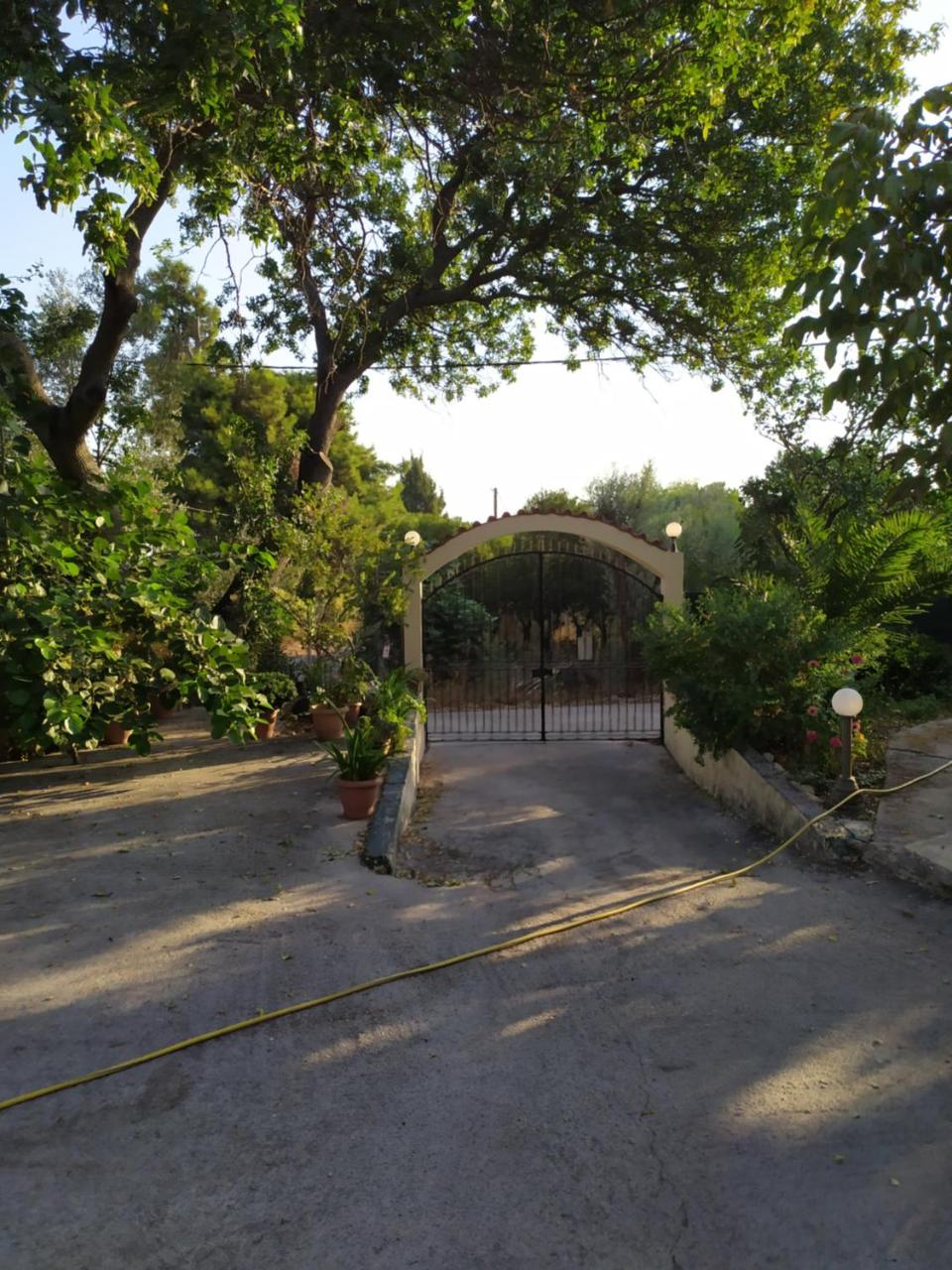 The Green Garden in AGIA VASSA SMALL - 6