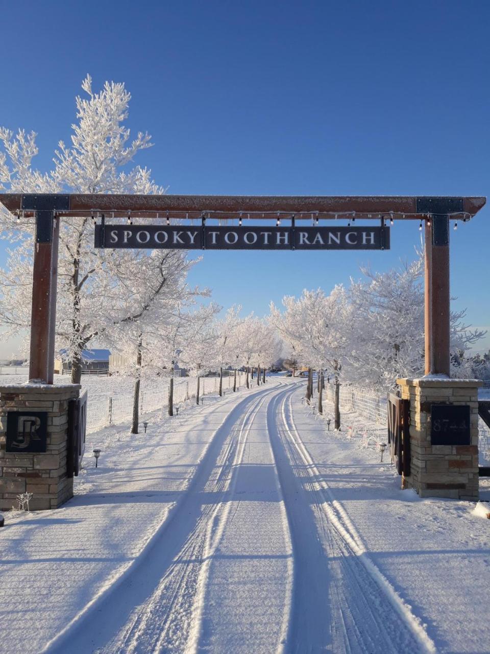 Llama-Stay at Spooky Tooth Ranch - Mtn Views! photo 4
