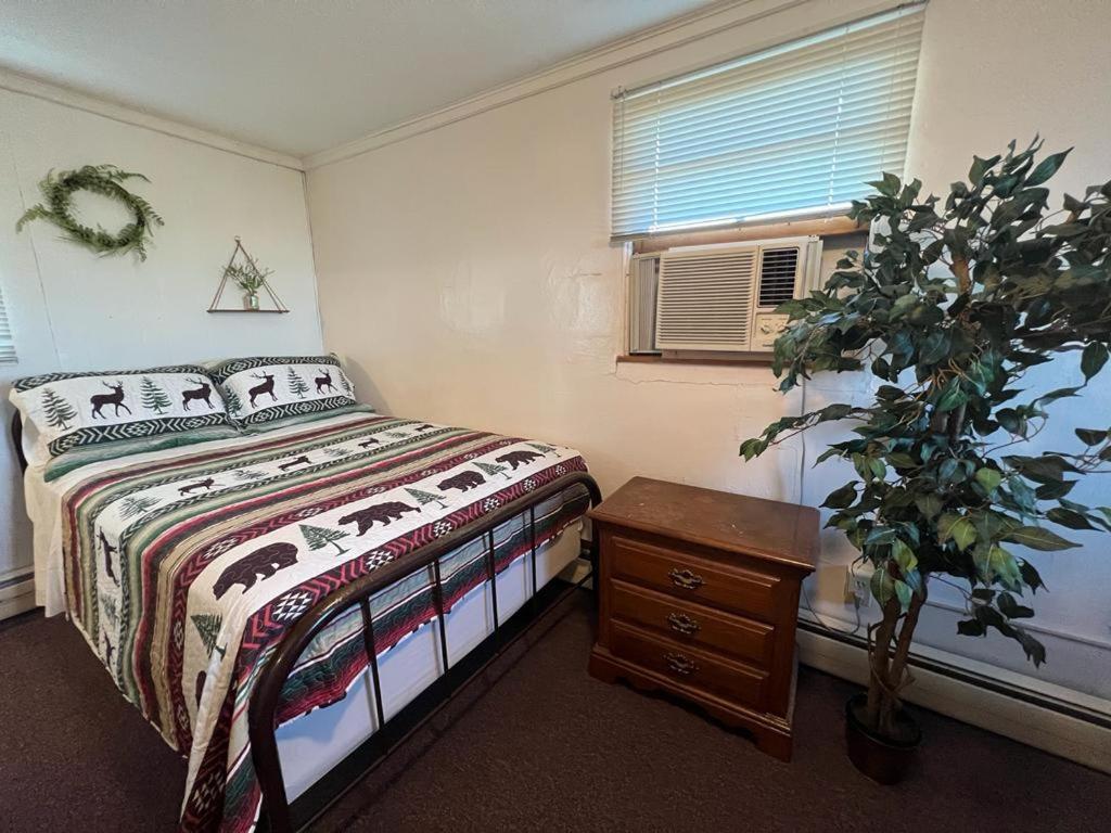 Whetstone Bay Lodge photo 2
