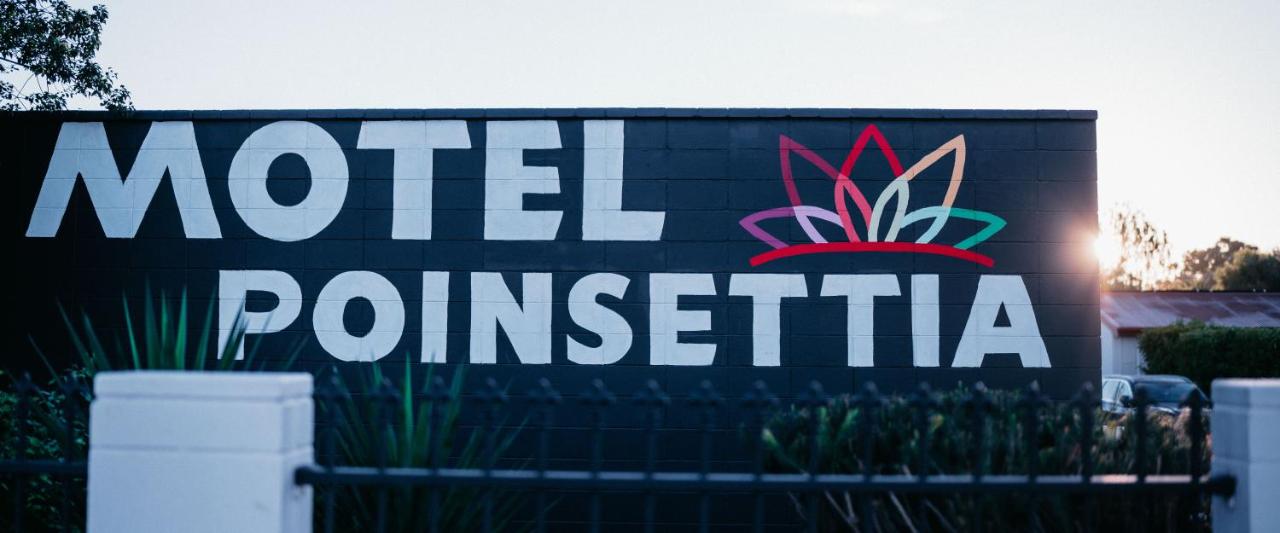 Motel Poinsettia photo 4