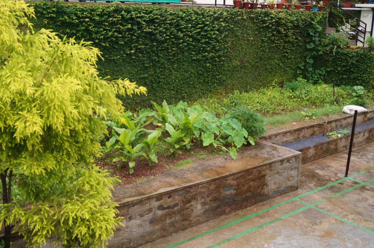 Patial Home Stay in Kasauli photo 4