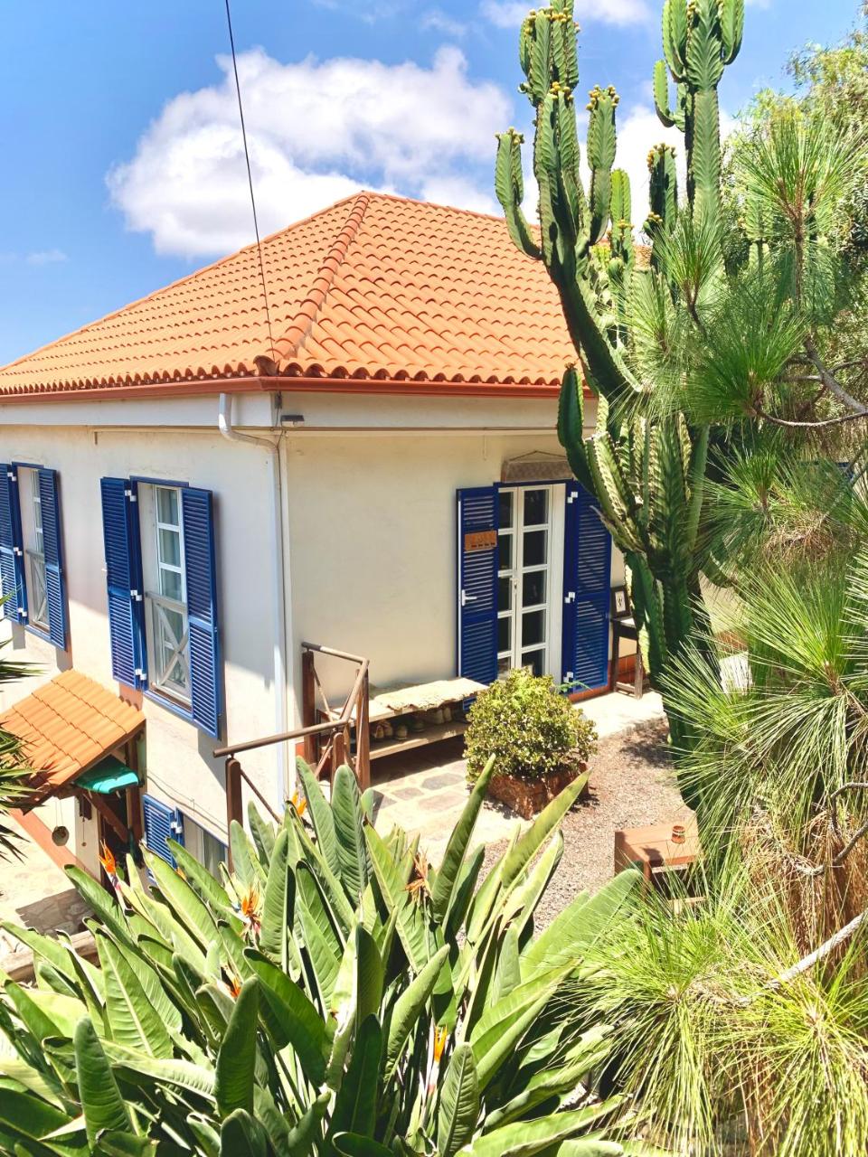 Stilvolle Villa in Teneriffa Süd - 5