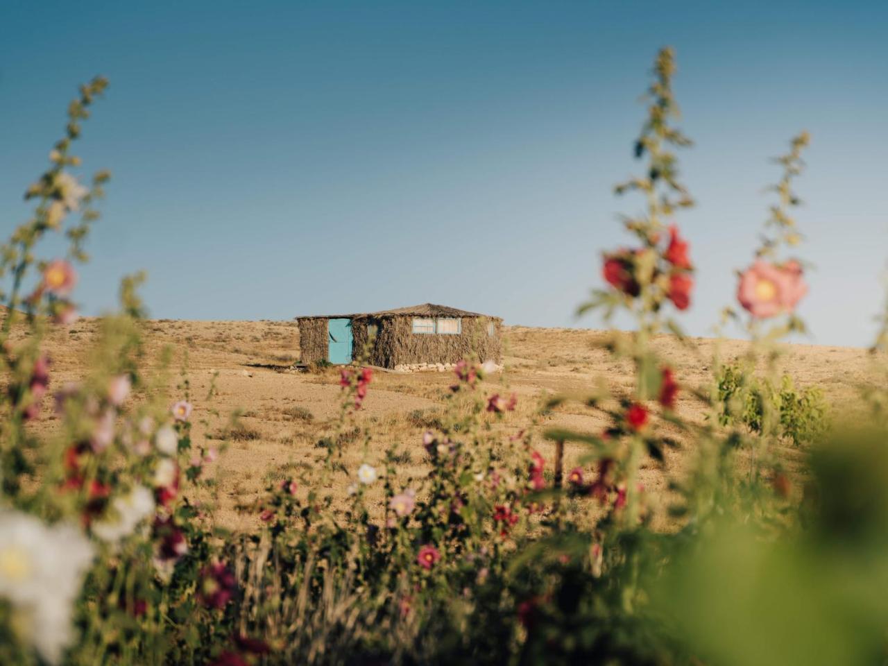 Succah in the Desert