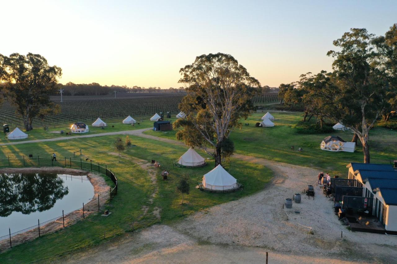 Coonawarra Bush Holiday Park photo 4