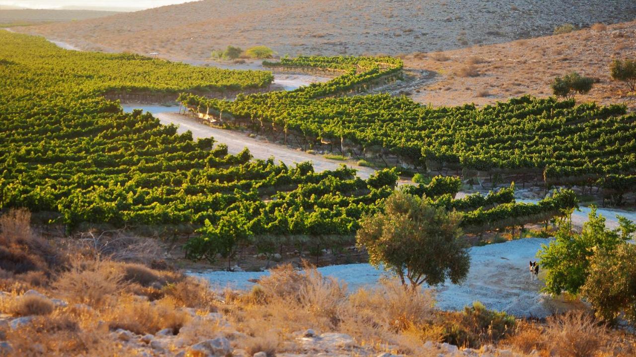 Carmey Avdat Farm photo 2