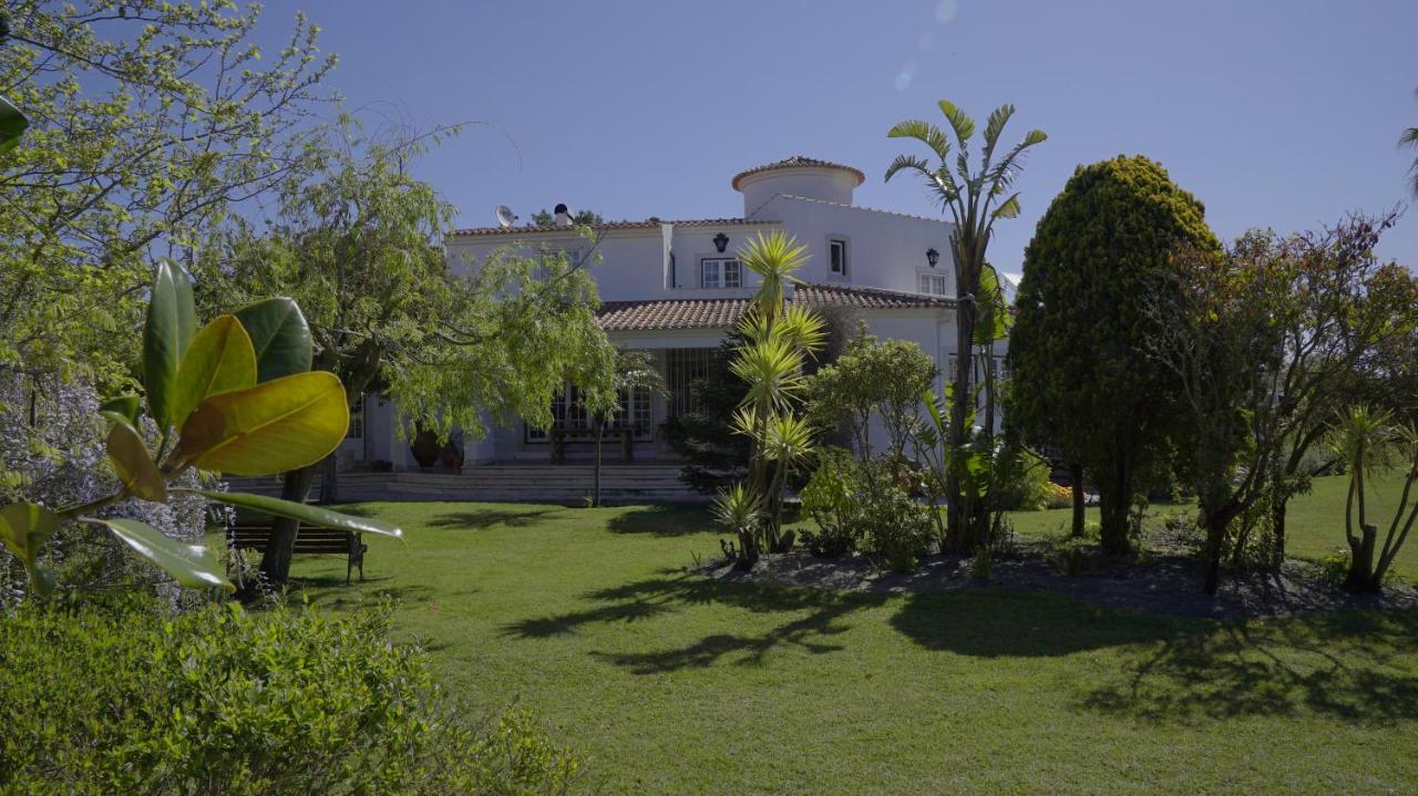 Vila Louro - 2