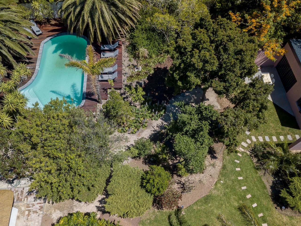 Africa Lodge photo 3
