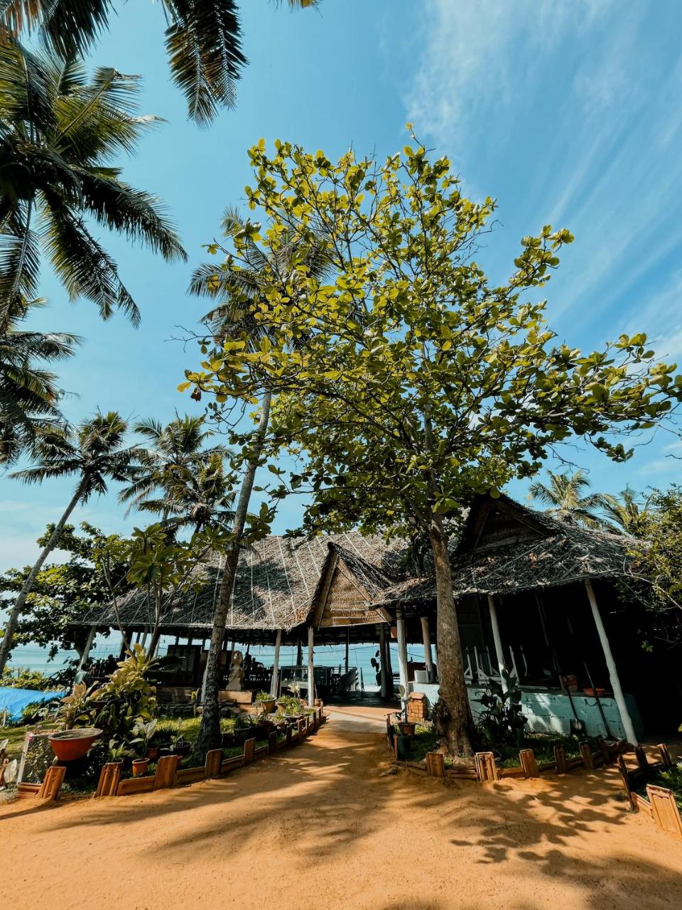 Varkala Marine Palace photo 4