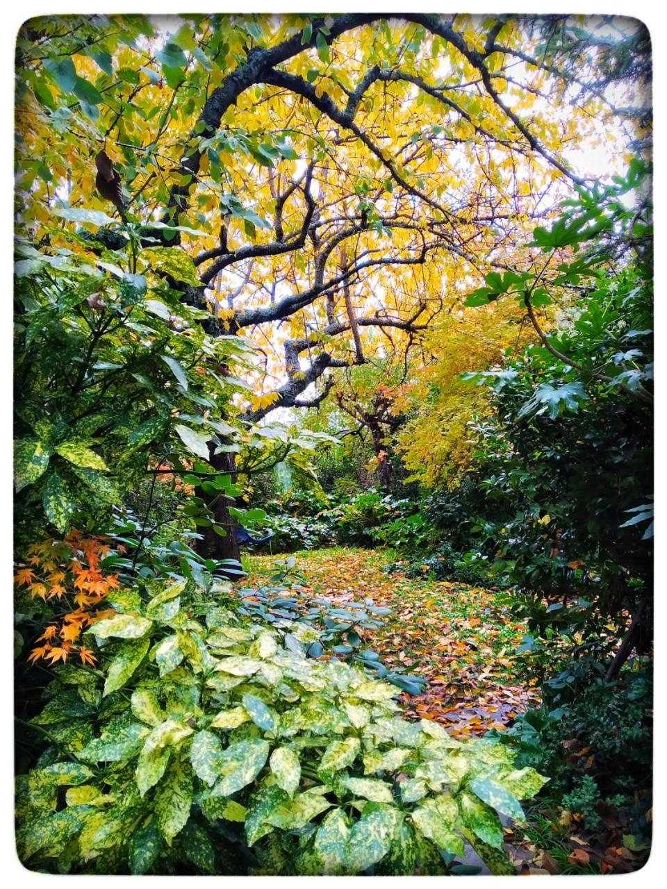 Jardines del Robledo-Albar photo 3