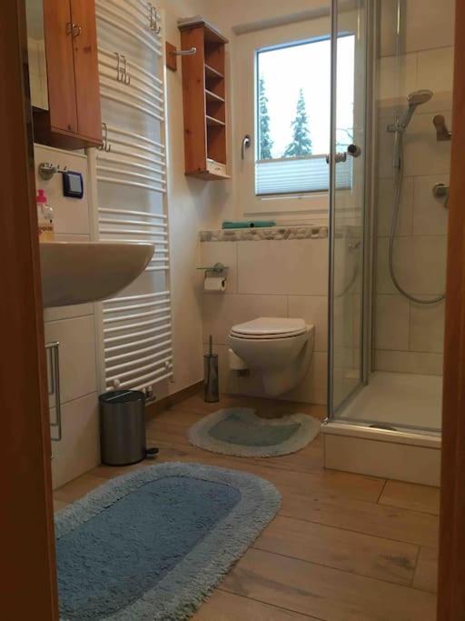 Ferienwohnung Apartment Doppelzimmer in der Villa Naturpark Rheinblick, ruhig, Aussicht, Pool - 5