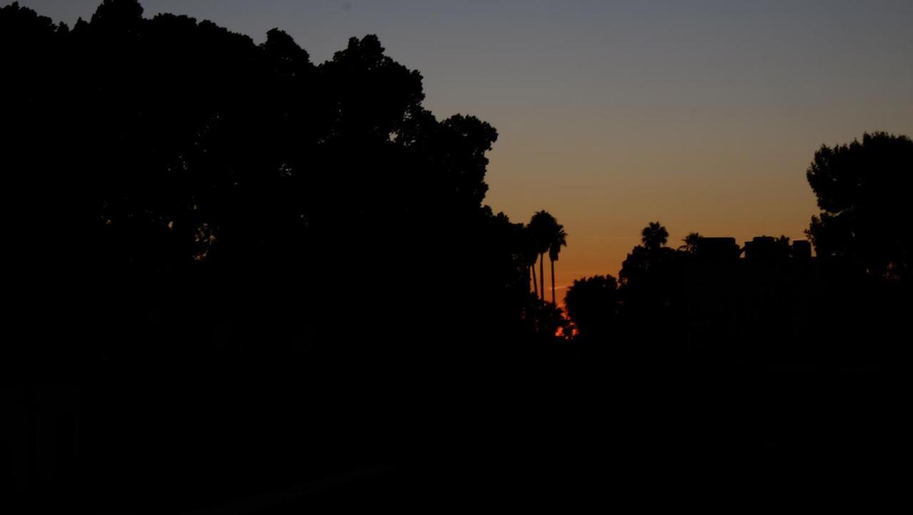 Riad Nafis photo 2