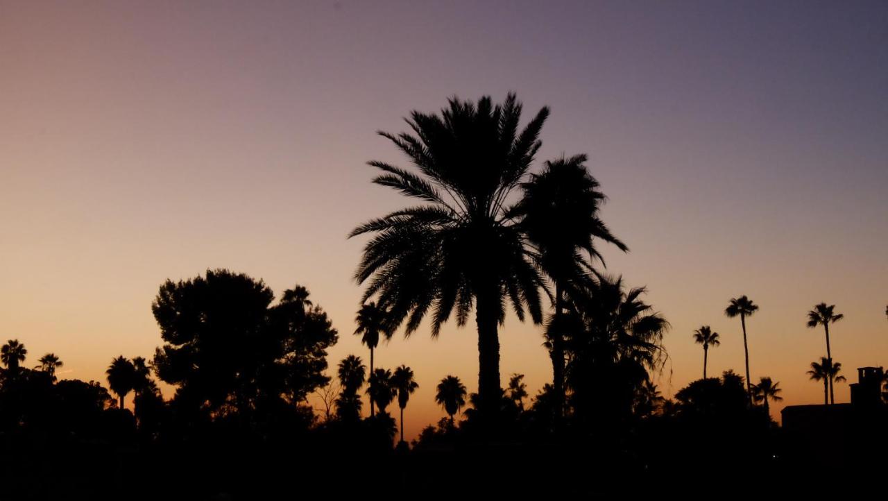 Riad Nafis photo 3