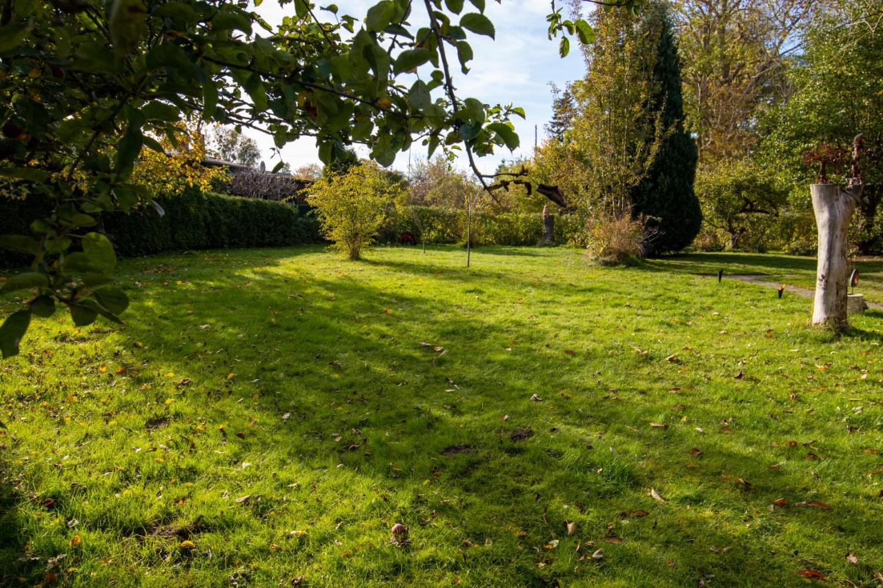 Bungalow in Gristow photo 3