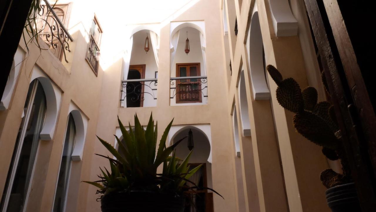 Riad Nafis photo 4