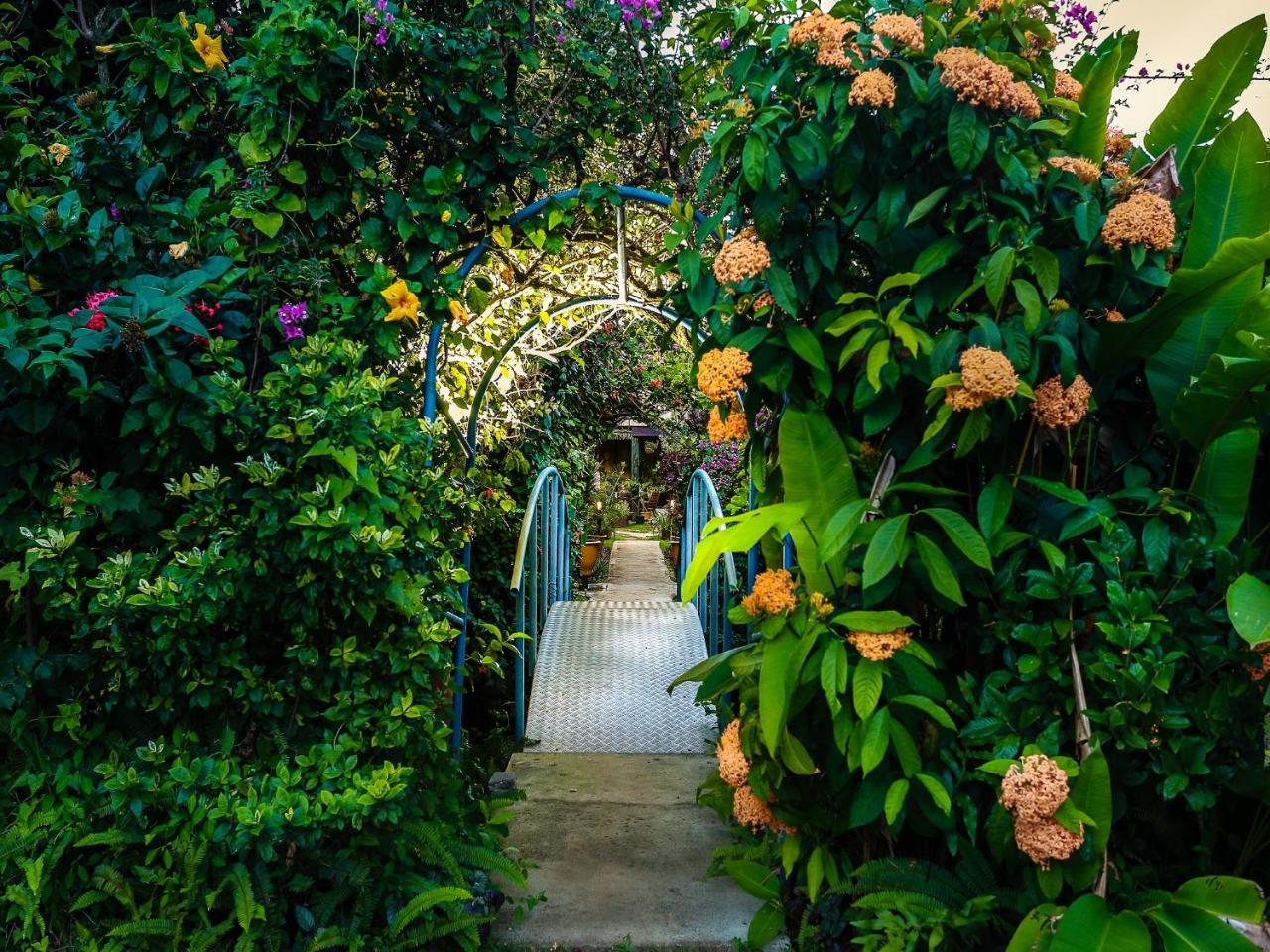 Muri Beach Hideaway - Adults Only photo 4