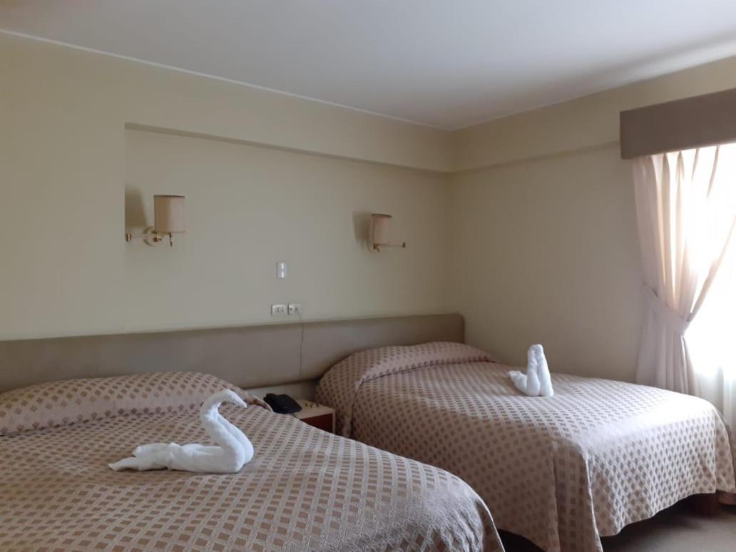 Photo - Hotel Melodia