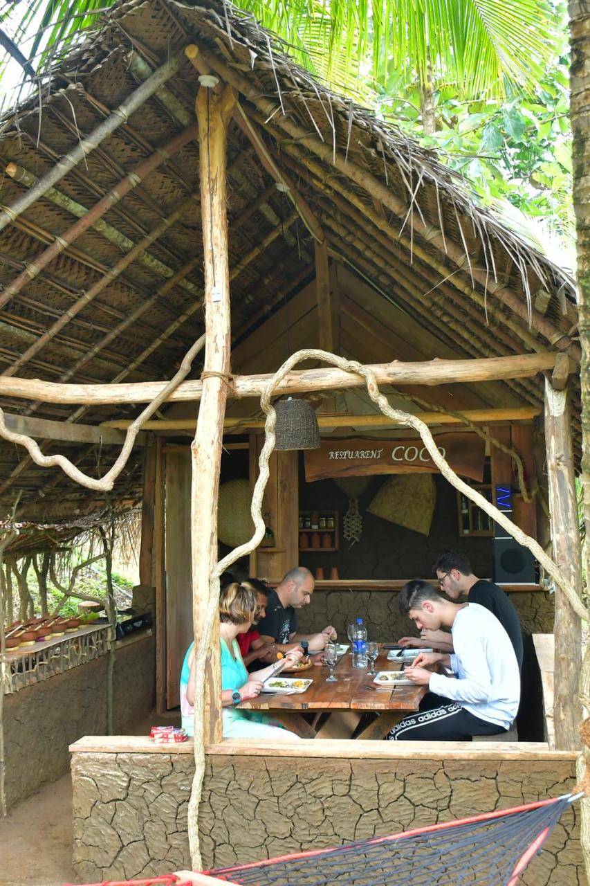 Coco Eco Lodge photo 4