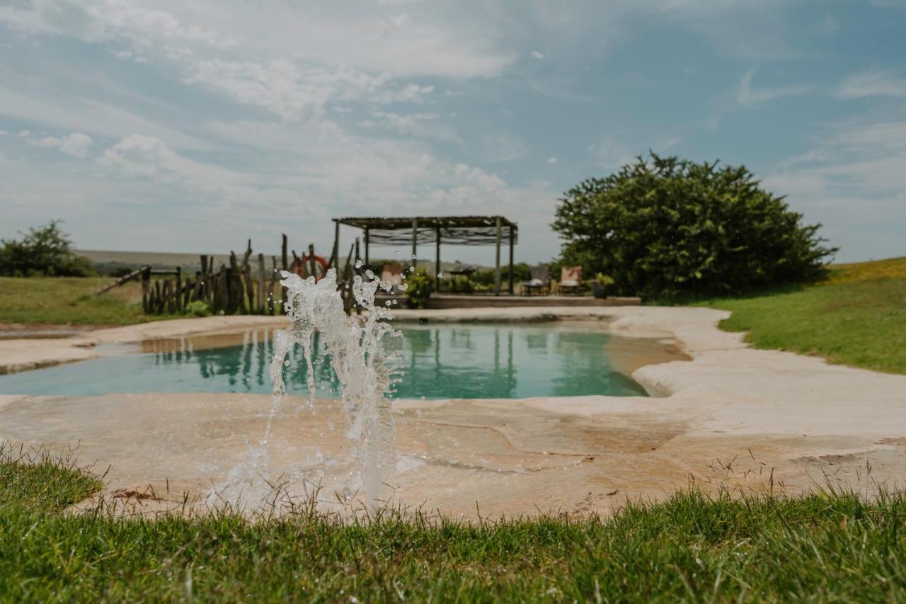 Hlosi Game Lodge - Amakhala Game Reserve