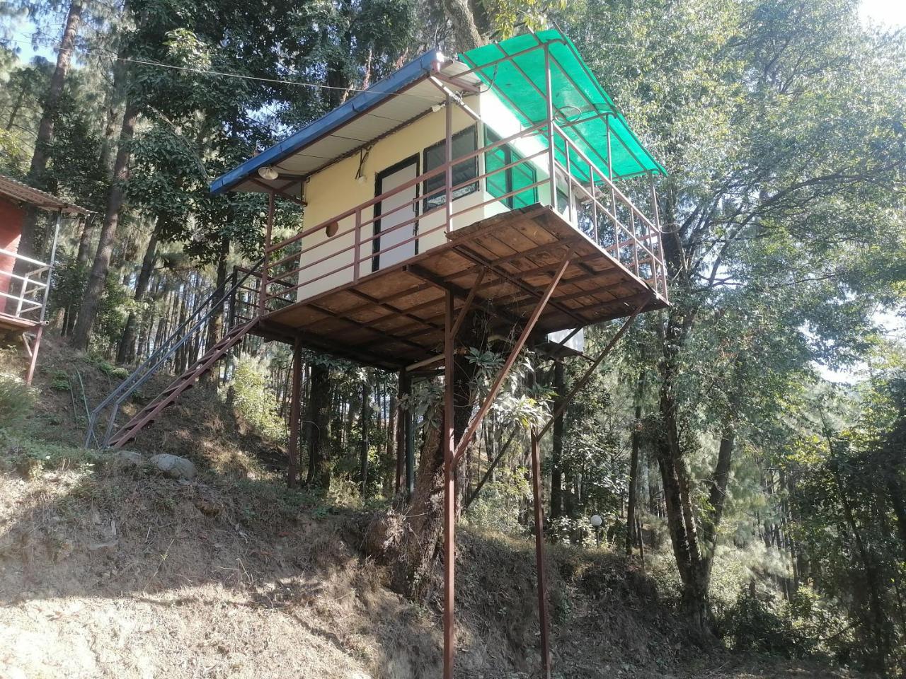 Jungle Crown Organic Homestay photo 4