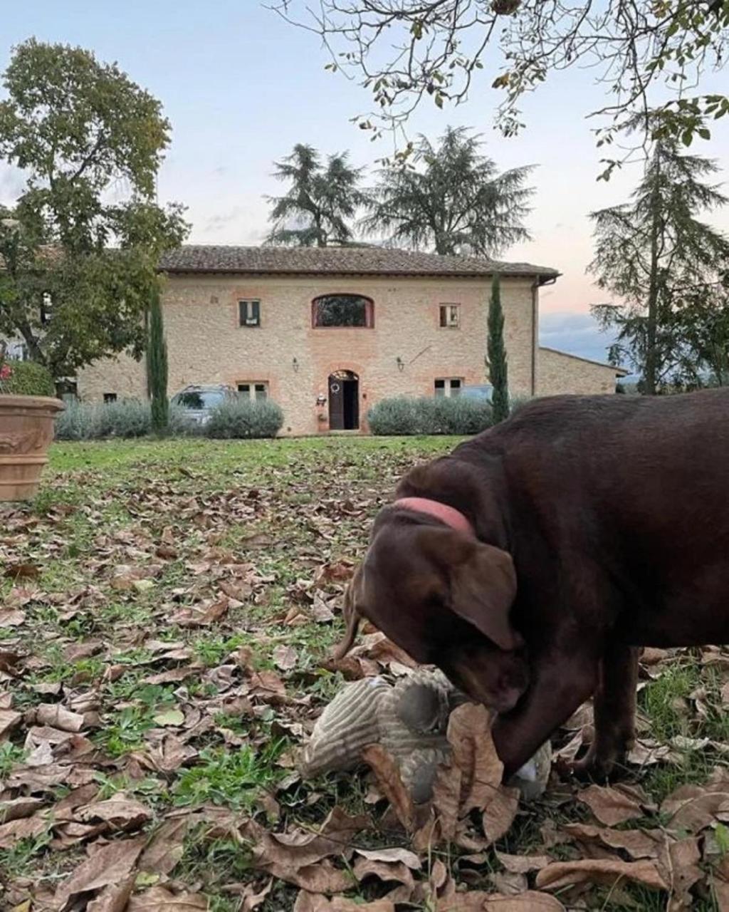 Agriturismo La Segolina photo 4