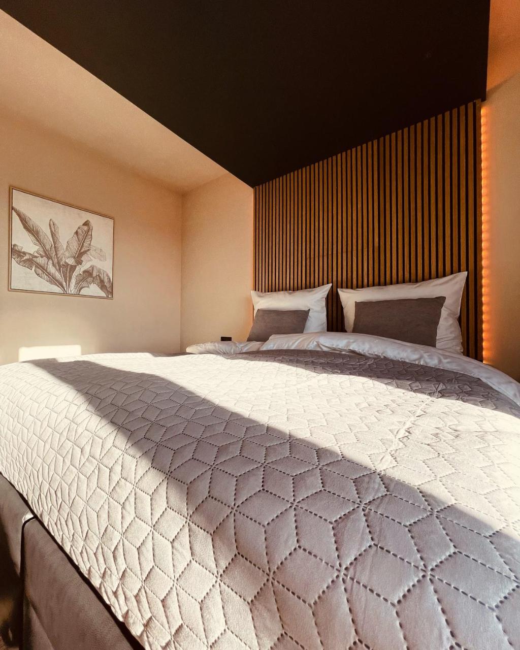 Private Spa Lodge Odenwald - 3
