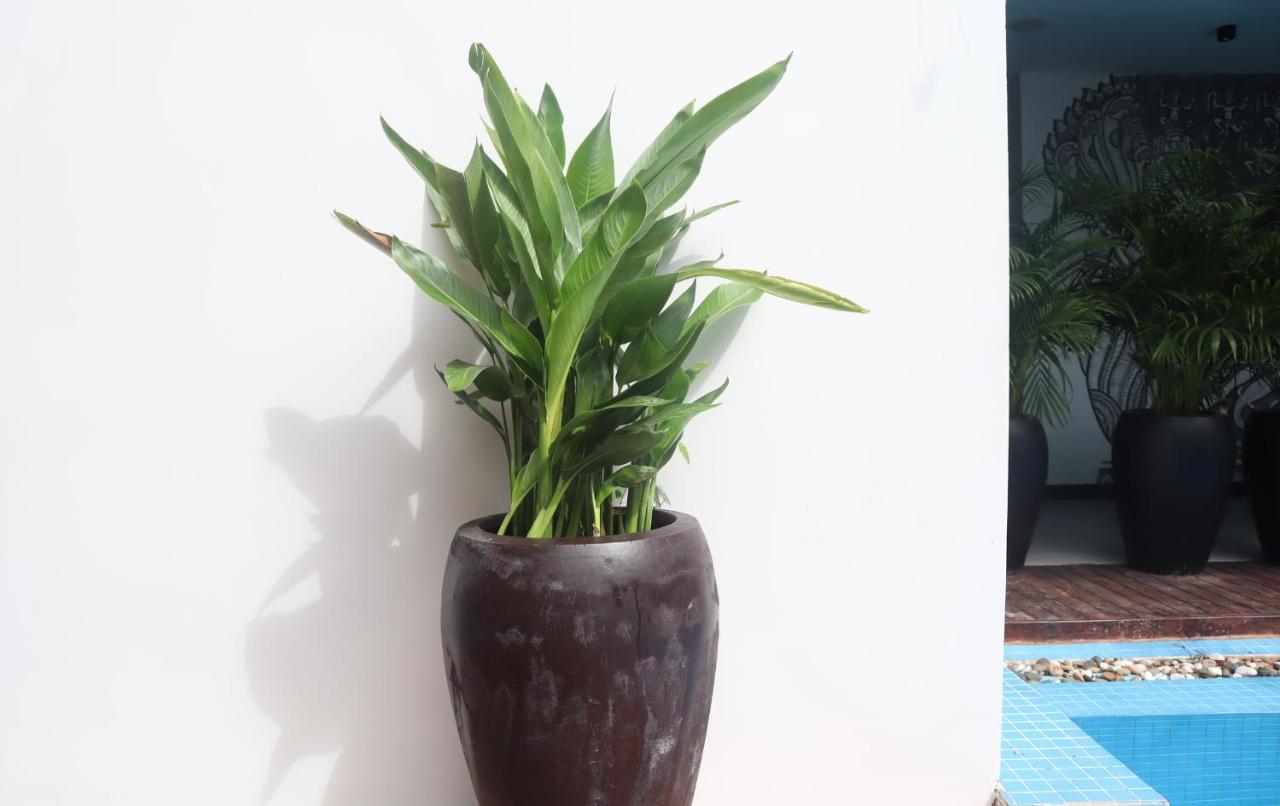 Siem Reap Palace Hotel & Spa photo 4