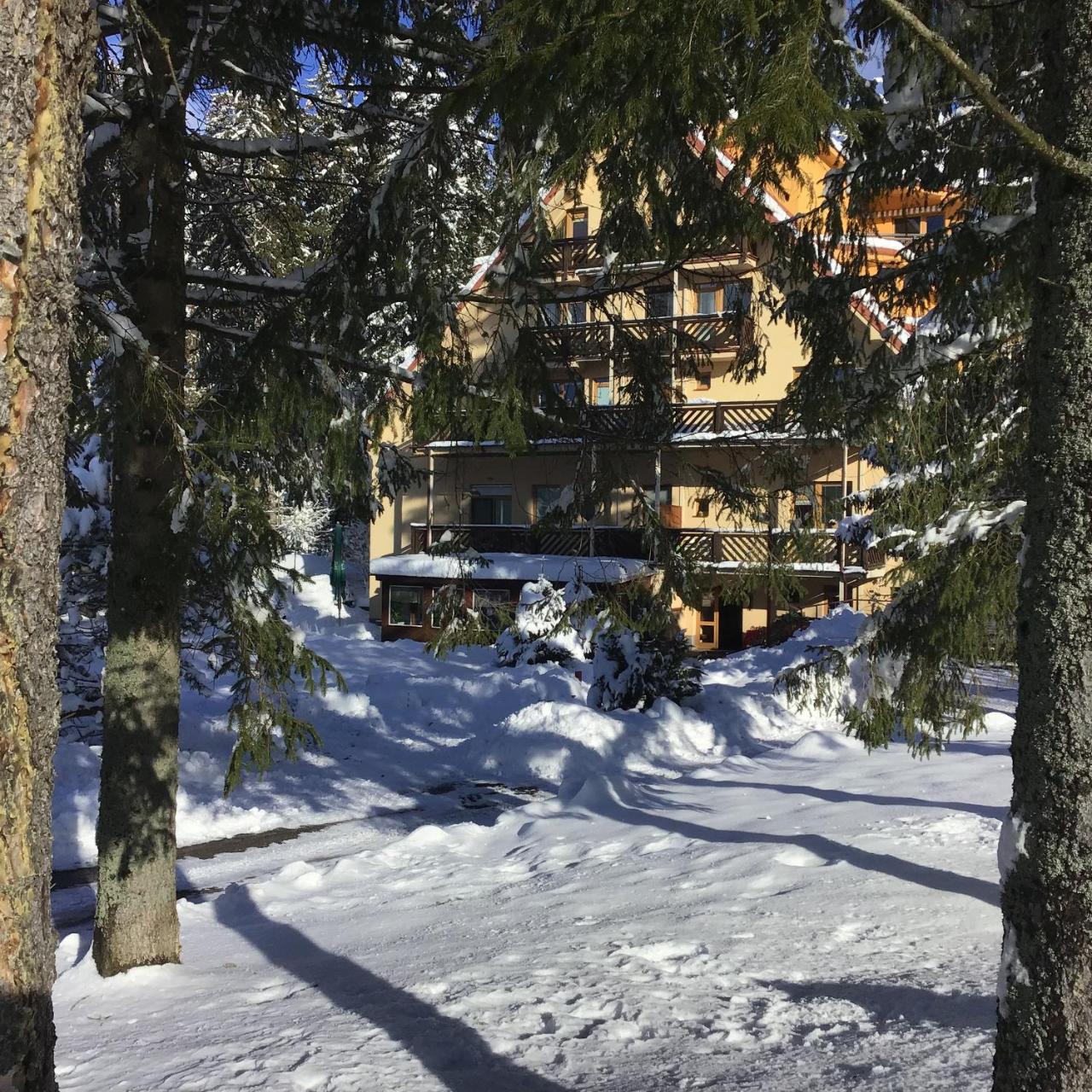 Ski apartmány Spiežovec Donovaly - 6