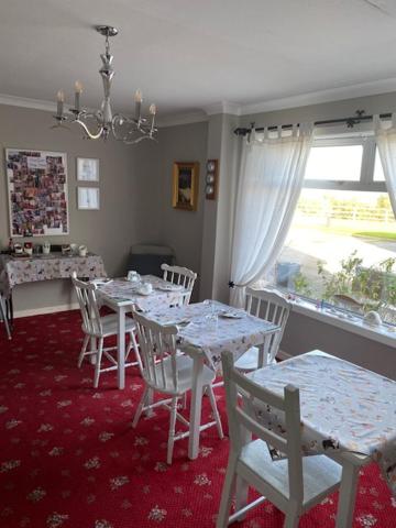 Coral Gables Guesthouse & Campsite photo 4