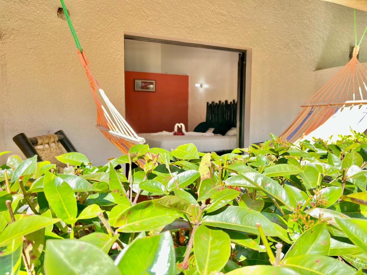 Hotel Rincon Rubi photo 3