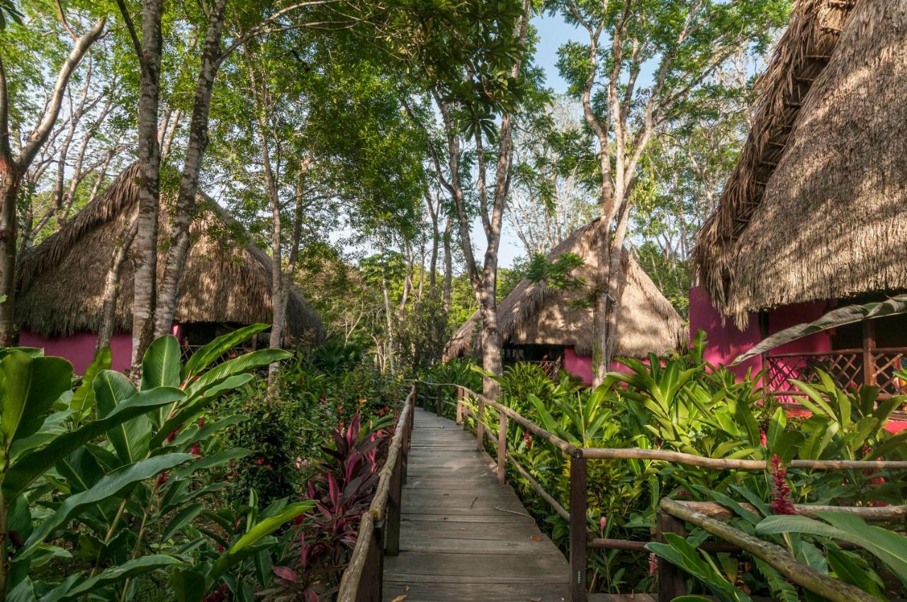 Las Guacamayas Lodge, Selva Lacandona, Chiapas México photo 4