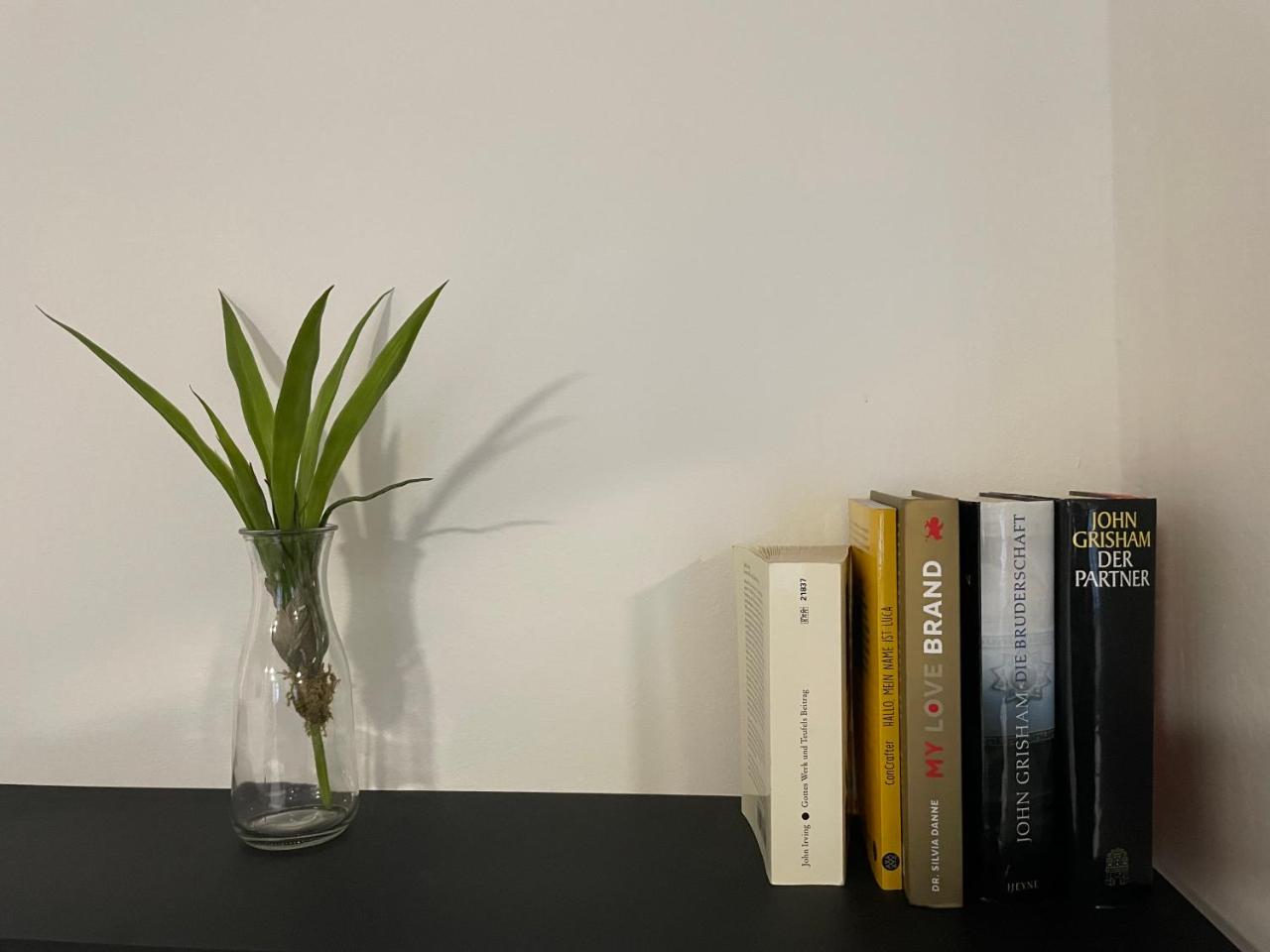Music Residence photo 3