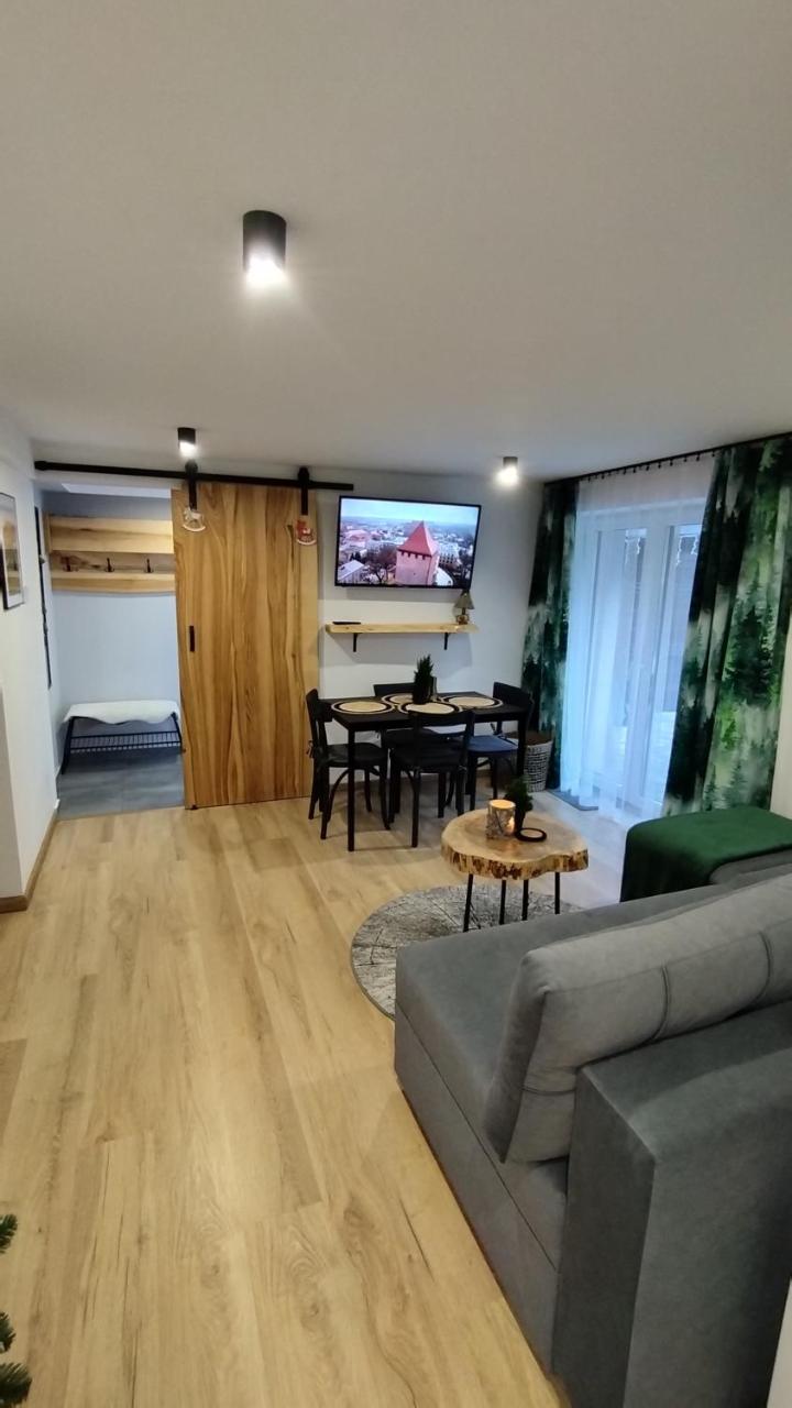 U Gazdy - apartament z sauną , jacuzzy, ogrodem i tarasem - przy Gondoli - 5
