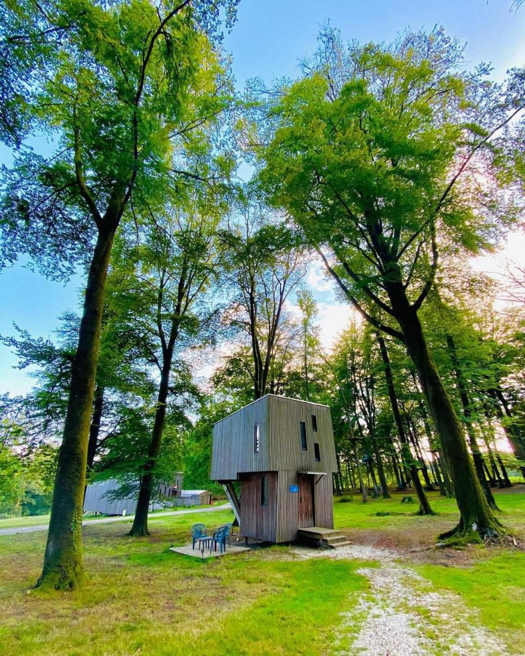 L'étape en forêt photo 4