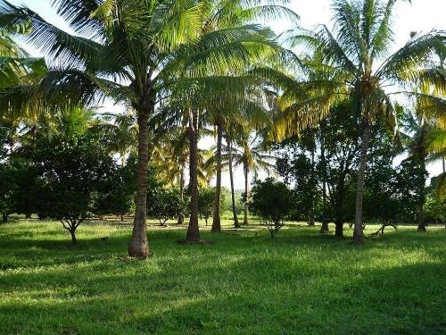 Simbamwenni Lodge and Camping photo 2