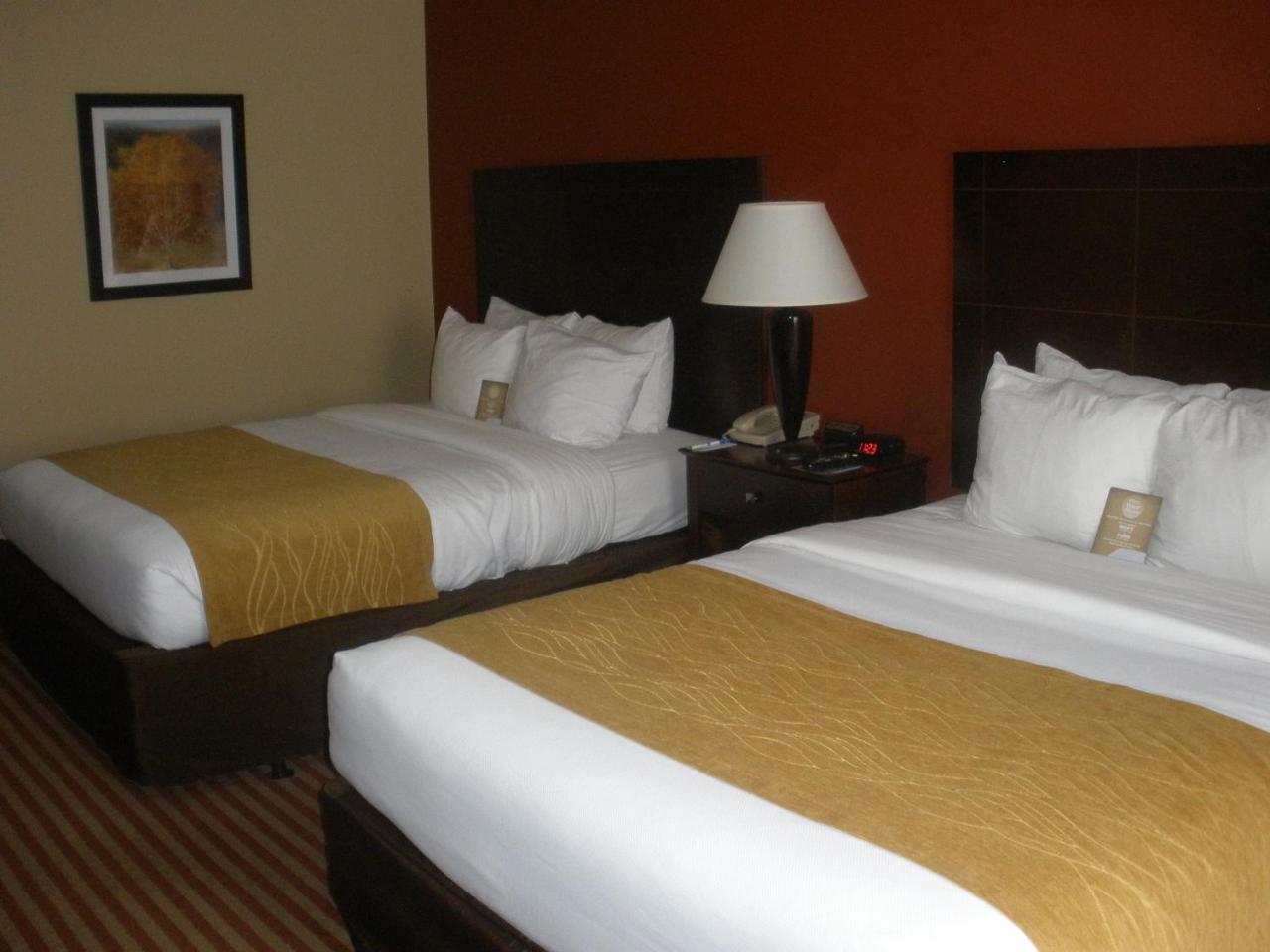 Foto - Comfort Inn And Suites Dayville