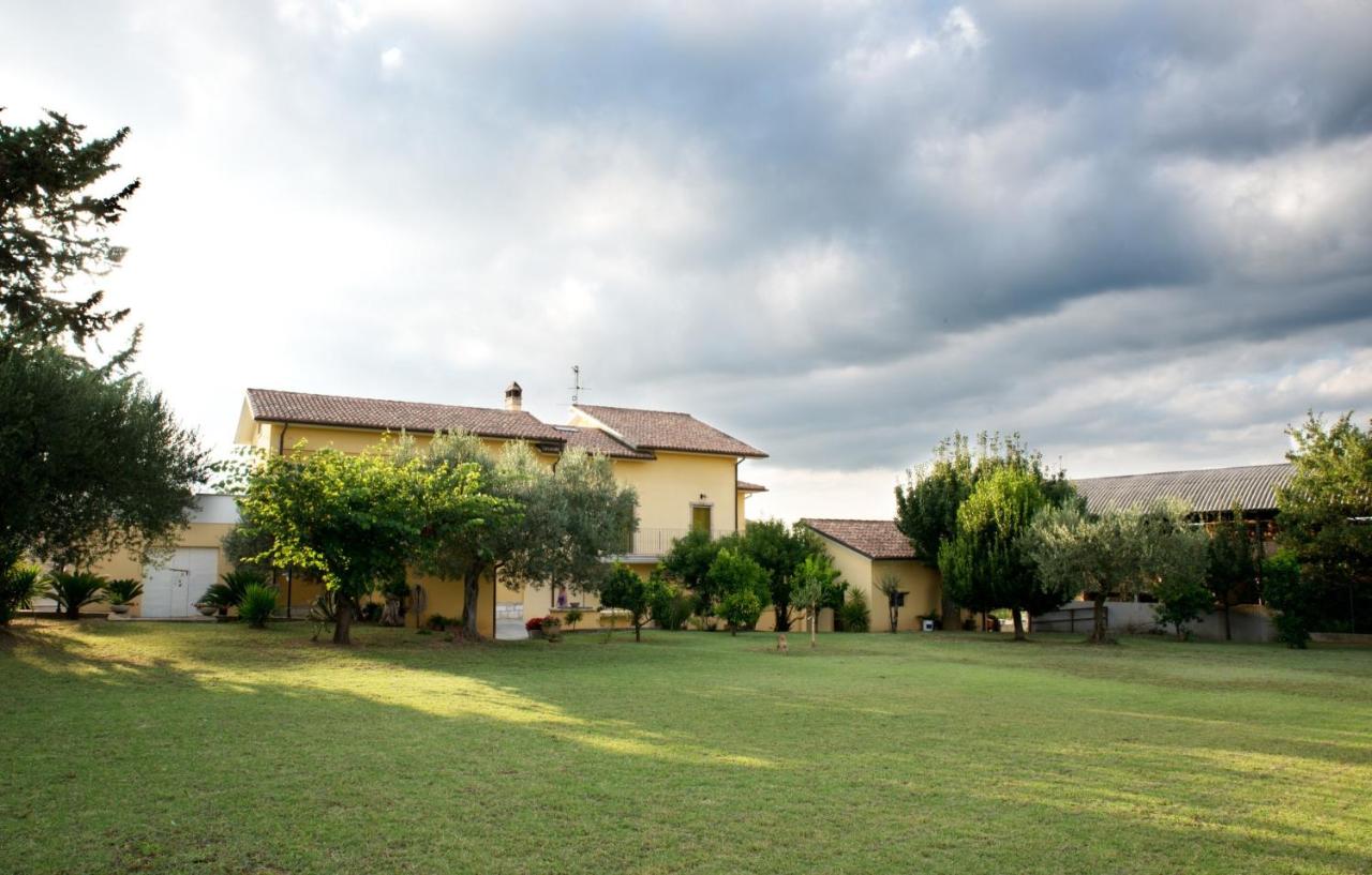 Agriturismo Il Casolare Di Nonno Mario photo 3