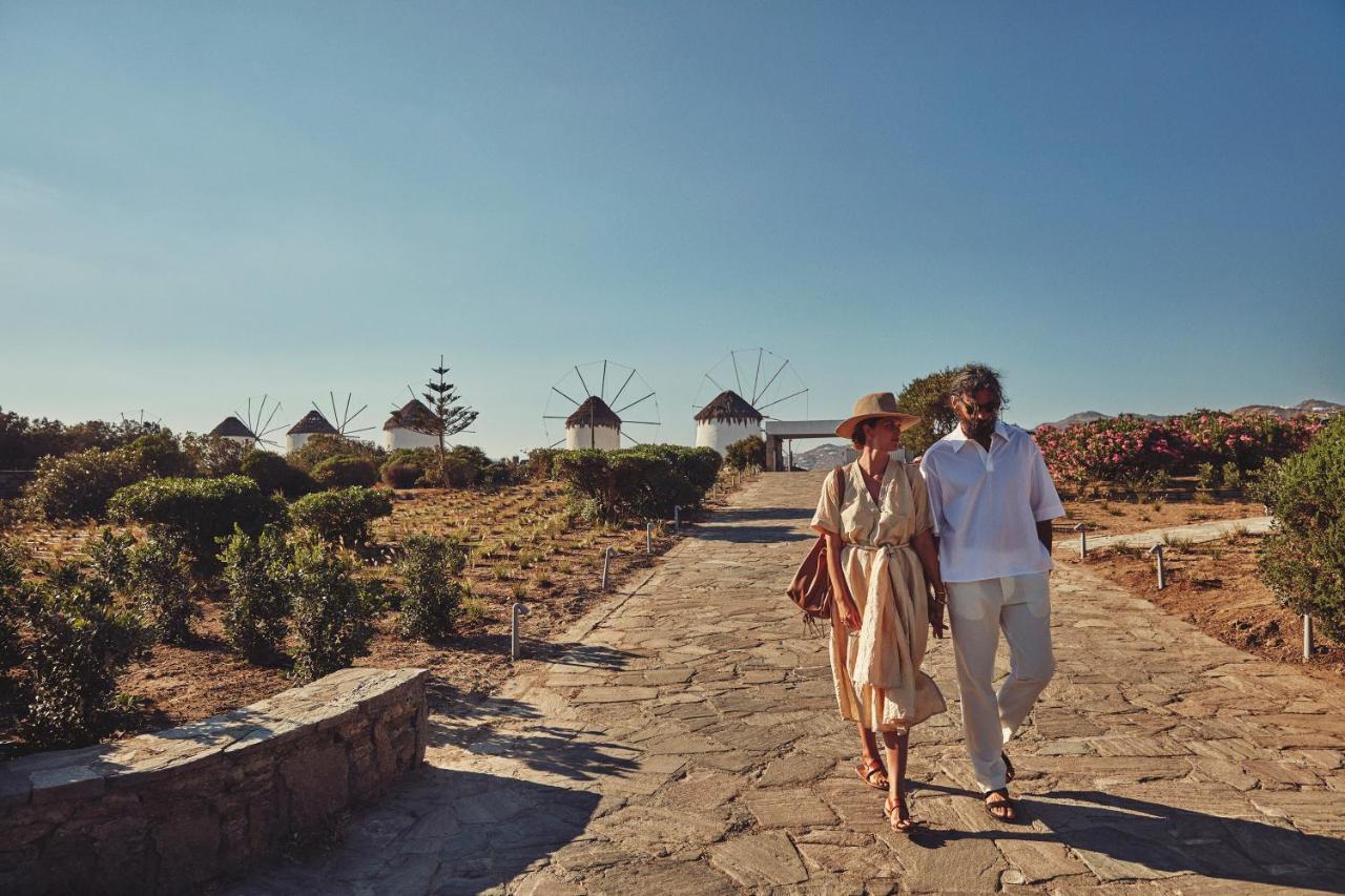 Mykonos Theoxenia, a Member of Design Hotels - 5