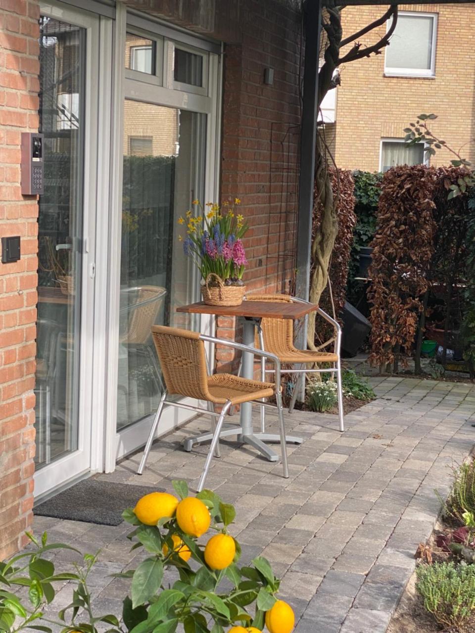 Komfort-Apartment BIRKE - 2