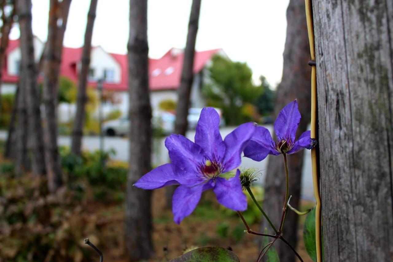Hotel Zabawa photo 2